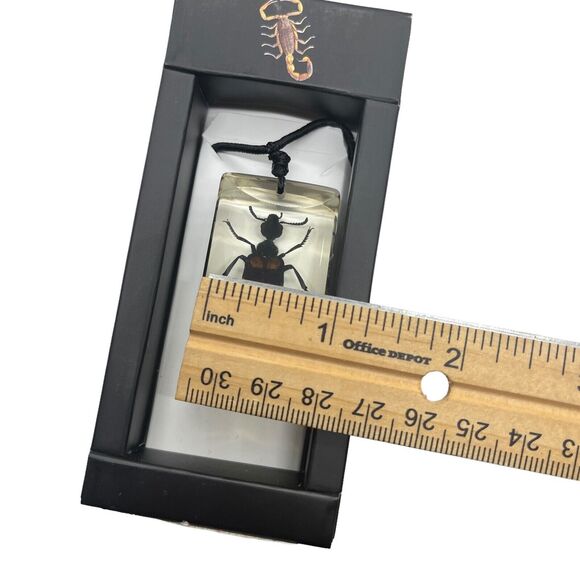 Blister Beetle Resin Pendant Necklace on Cord New in Box Goth Academia Science - Picture 5 of 13